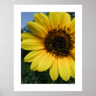 Big Sunflower - 28,5 Zoll x 36 Zoll Poster