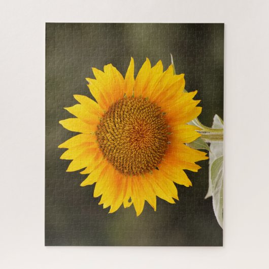 Big Sunflower Blume Puzzle (Vertikal)