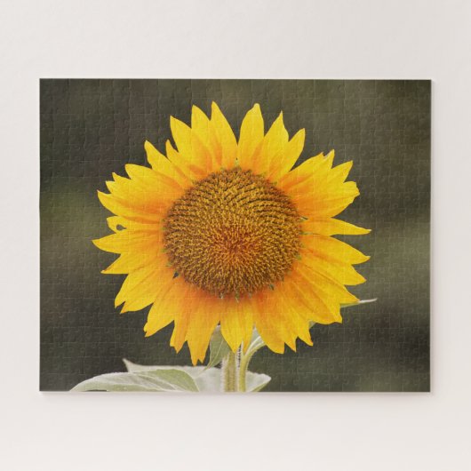 Big Sunflower Blume Puzzle (Horizontal)