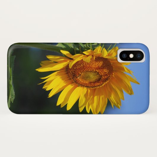 Big Sunflower Case-Mate iPhone Hülle (Rückseite (Horizontal))