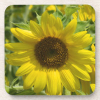 Big Sunflower Cork Untersetzer