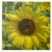 Big Sunflower Decorative Tile Fliese (Vorderseite)