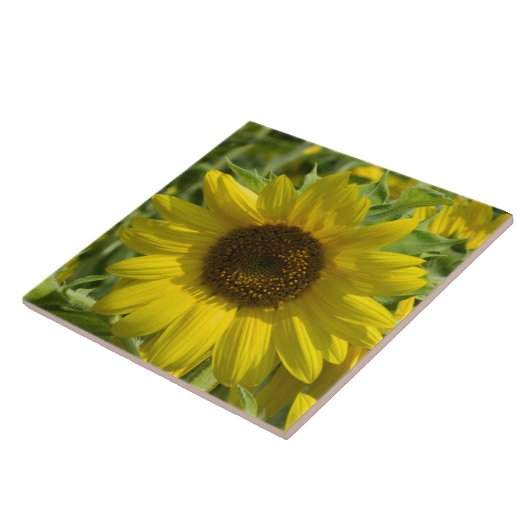 Big Sunflower Decorative Tile Fliese (Seite)