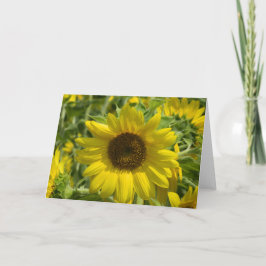 Big Sunflower Grußkarte Karte