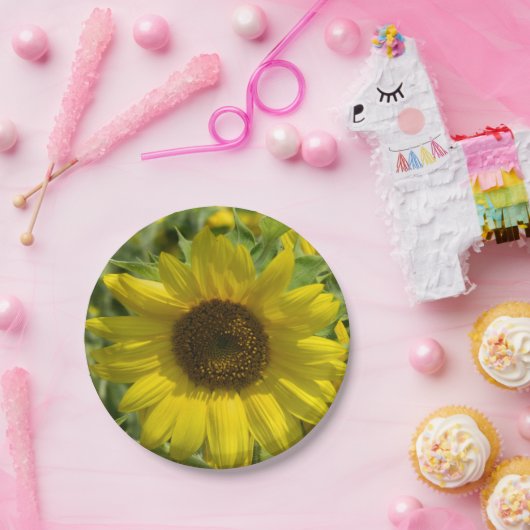Big Sunflower Paper Plate Pappteller (Party)