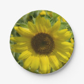 Big Sunflower Paper Plate Pappteller (Vorderseite)
