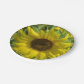 Big Sunflower Paper Plate Pappteller (Schrägansicht)