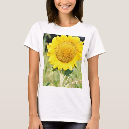 'BIG SUNFLOWER T-Shirt (Vorderseite)