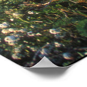 Big Sur Coast Vista Poster (Ecke)