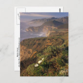 Big Sur Küste Kalifornien Postkarte (Vorne/Hinten)