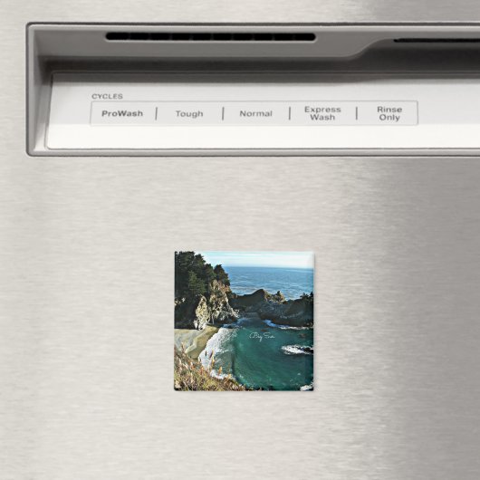 Big Sur Magnet (In Situ (Geschirrspüler))