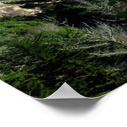 Big Sur Poster (Ecke)