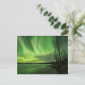 Big Susitna Aurora Postkarte (Stehend Vorderseite)