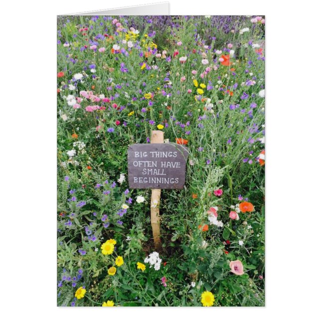 Big Things Small Beginnings Card (Vorne)