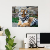 Big Tiger Cub Poster (Heimbüro)