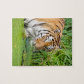Big Tiger schwimmen mit grünen Blättern Puzzle (Horizontal)