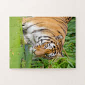 Big Tiger schwimmen mit grünen Blättern Puzzle (Horizontal)