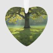 Big Tree Forest Dated Photo Custom Ornament (Vorderseite)