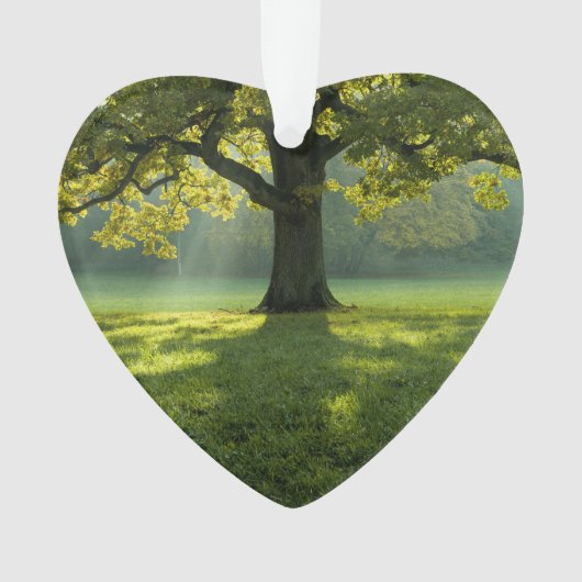 Big Tree Forest Dated Photo Custom Ornament (Vorderseite)