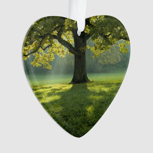 Big Tree Forest Dated Photo Custom Ornament (Vorderseite)