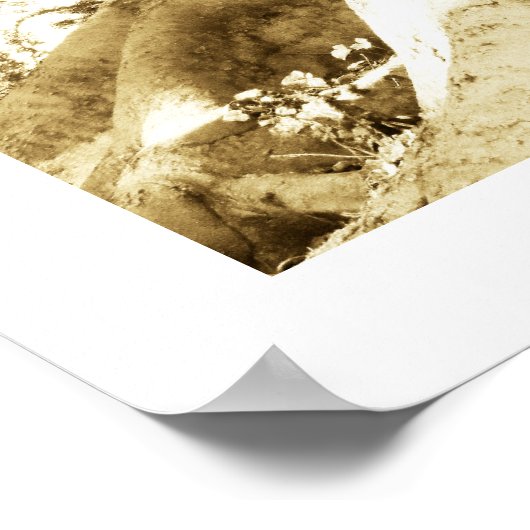 Big Tree Fotografy Sepia Schwarz und Weiß Poster (Ecke)