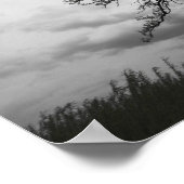 Big Tree, Glacier Ridge Metropark, Dublin, Ohio Poster (Ecke)
