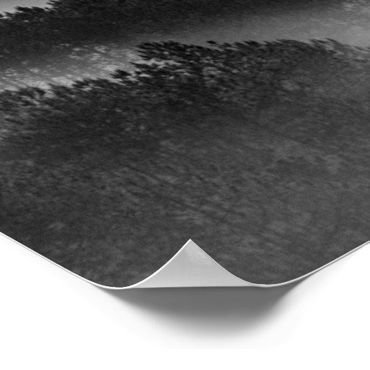 Big Tree in Pine Forest in the Mist Poster (Ecke)