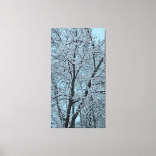 Big Tree in Snow und Blue Sky Leinwanddruck