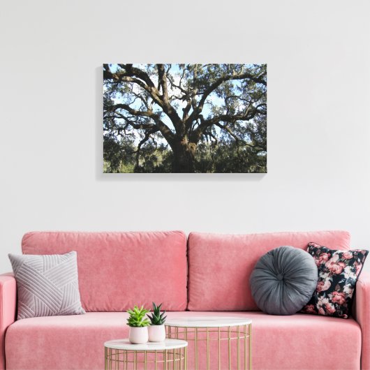 Big Tree Leinwanddruck (Insitu (Wohnzimmer))