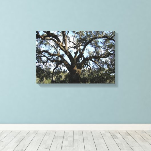 Big Tree Leinwanddruck (Insitu (Holzboden))