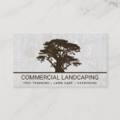 Big Tree Logo | Hintergrund des weißen Felsens Visitenkarte (Vorderseite)