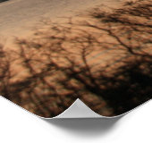 Big Tree Poster (Ecke)