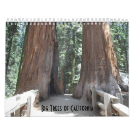 Big Trees of California Kalender
