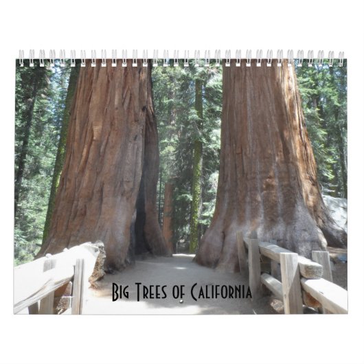 Big Trees of California Kalender (Titelbild)