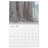 Big Trees of California Kalender (Mär 2027)