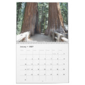 Big Trees of California Kalender (Jan 2027)