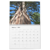 Big Trees of California Kalender (Feb 2027)