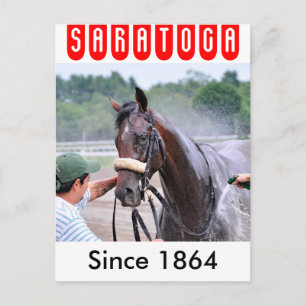 Big Trouble gewinnt den 100. Sanford Postkarte