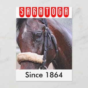 Big Trouble gewinnt die 100. Sanford Stakes Postkarte