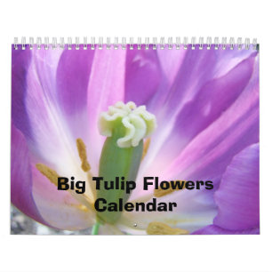 Big Tulip Blume Kalender Natur Blumenfarben