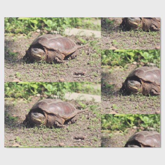 Big Typ Geschenkpapier (Flach)