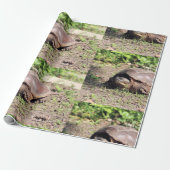 Big Typ Geschenkpapier (Ungerollt)