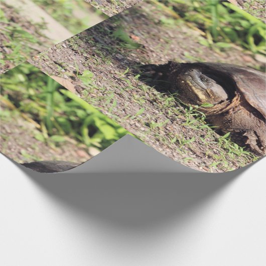 Big Typ Geschenkpapier (Ecke)