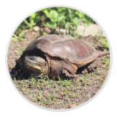 Big Typ Keramikknauf (Vorderseite)