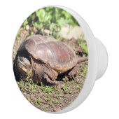 Big Typ Keramikknauf (Rechts)