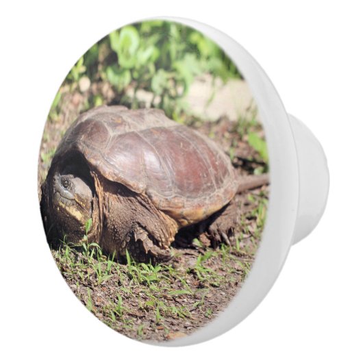 Big Typ Keramikknauf (Rechts)