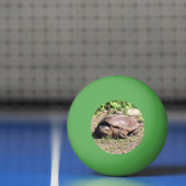 Big Typ Tischtennisball (Netto)