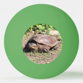 Big Typ Tischtennisball (Vorderseite)