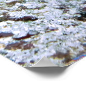 Big Ugly Eel Poster (Ecke)