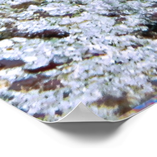 Big Ugly Eel Poster (Ecke)